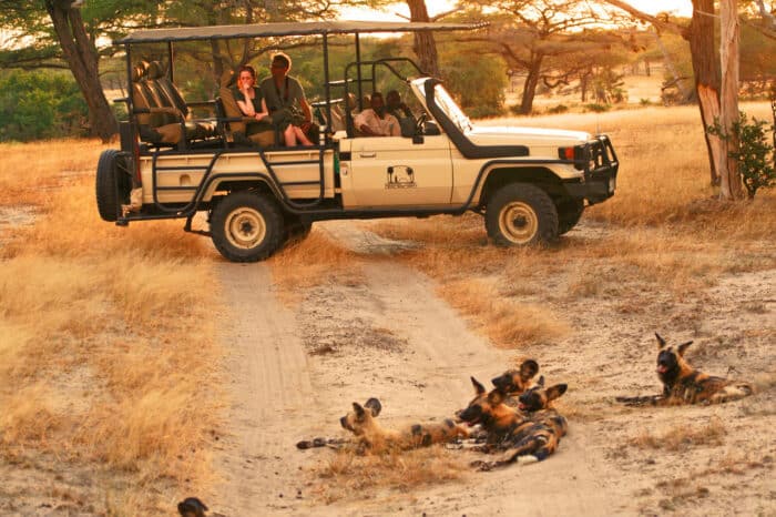 Cedarberg Travel | Selous Impala Camp