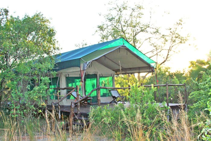 Cedarberg Travel | Selous Impala Camp