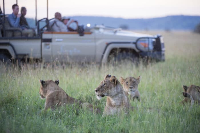 Cedarberg Travel | Singita Sasakwa Lodge