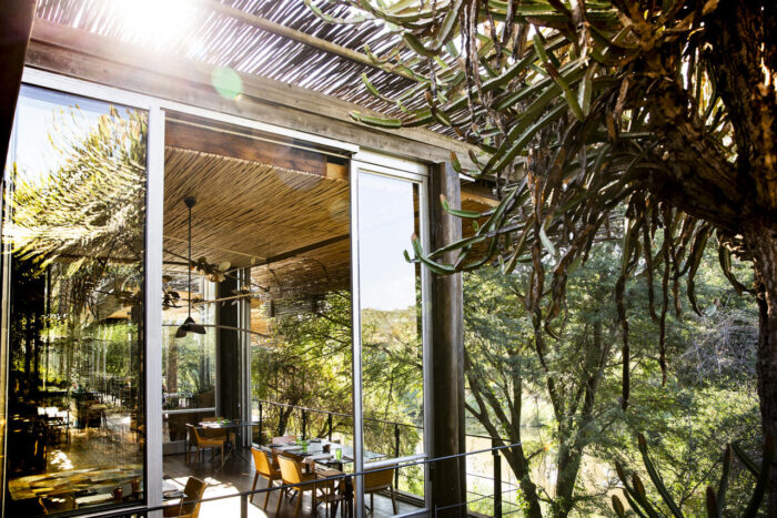 Cedarberg Travel | Singita Sweni Lodge