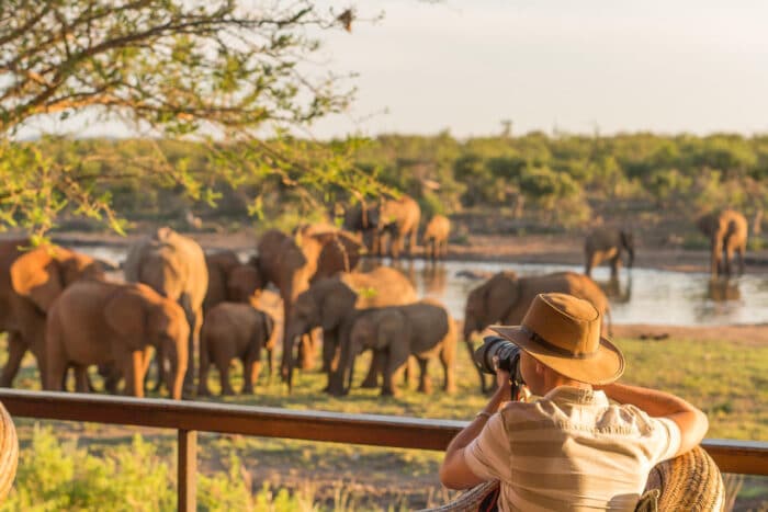 Cedarberg Travel | Jamala Madikwe