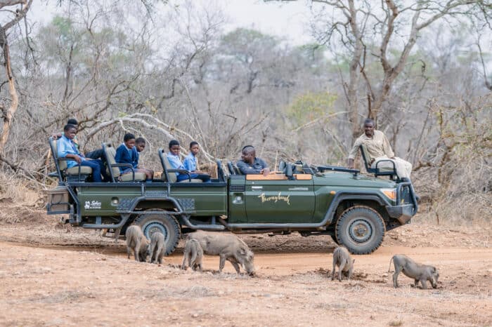 Cedarberg Travel | Waterside at Royal Malewane