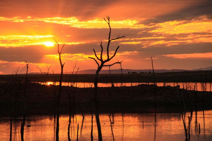 Cedarberg Travel | Changa Safari Camp