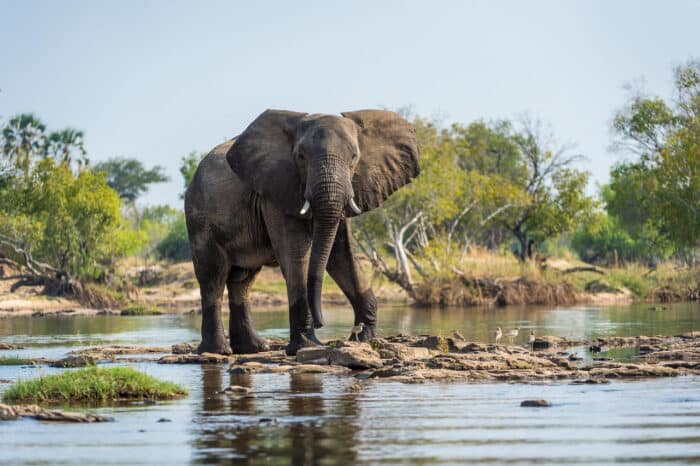 Cedarberg Travel | Toka Leya Camp