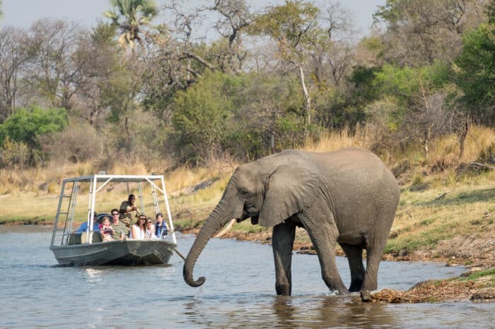 Cedarberg Travel | Toka Leya Camp