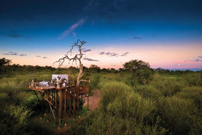 Cedarberg Travel | Lion Sands Ivory Lodge