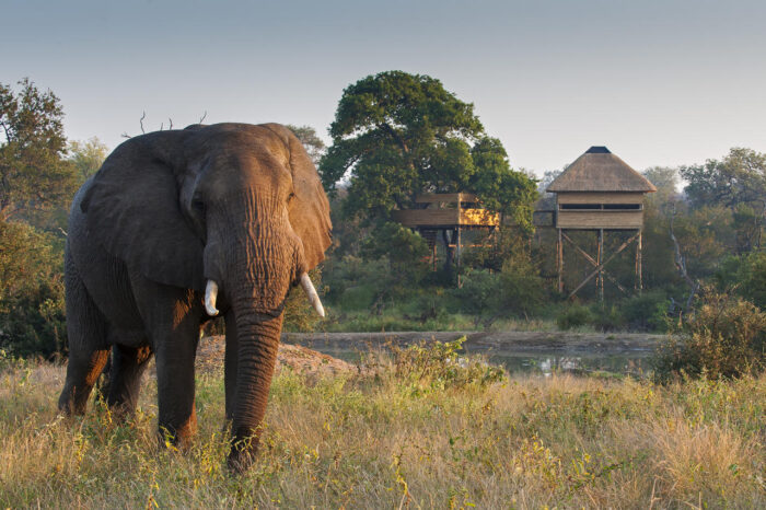 Cedarberg Travel | Pondoro Game Lodge