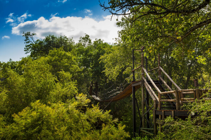 Cedarberg Travel | Ulusaba Safari Lodge