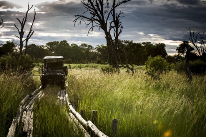 Cedarberg Travel | Vumbura Plains