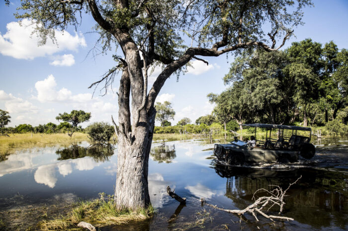 Cedarberg Travel | Vumbura Plains