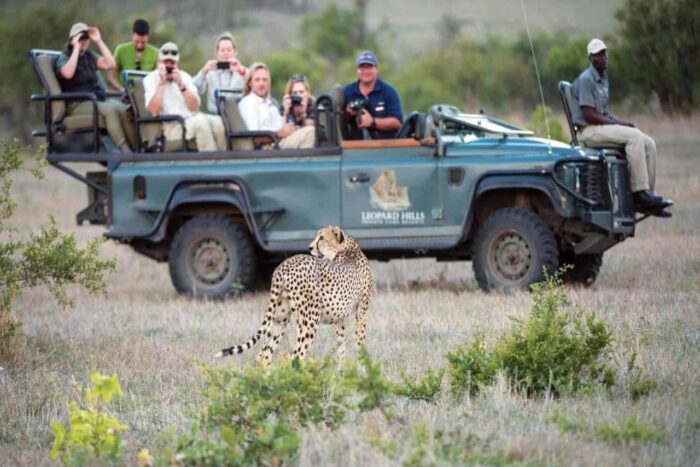 Cedarberg Travel | Leopard Hills Private Game Lodge