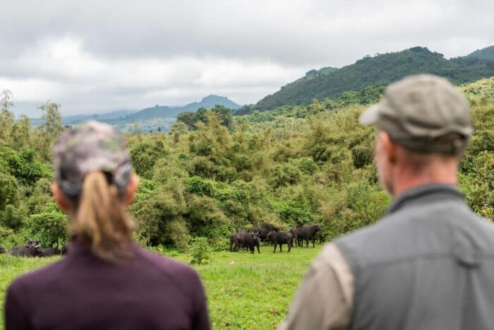 Cedarberg Travel | Wilderness Sabyinyo Lodge