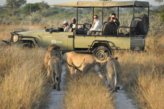 Cedarberg Travel | Kwando Tau Pan Camp