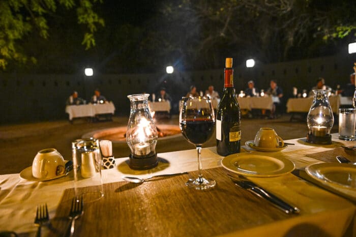 Cedarberg Travel | Elephant Plains Game Lodge