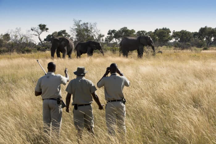 Cedarberg Travel | andBeyond Xaranna Okavango Delta Camp