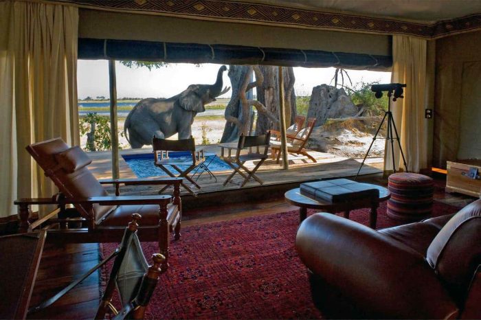 Cedarberg Travel | Zarafa Camp