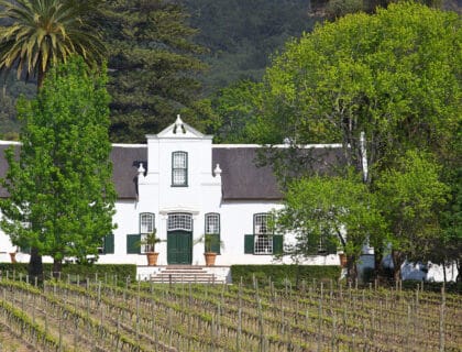 Constantia - Manor House