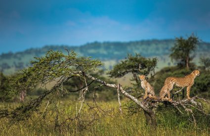 Namibia Fly-In with Skeleton Coast
