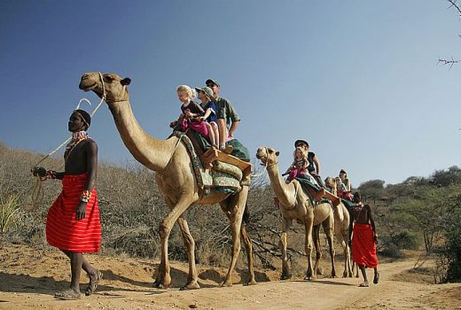Kenya Family Safaris