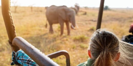 Easter Family Safaris & Short Breaks