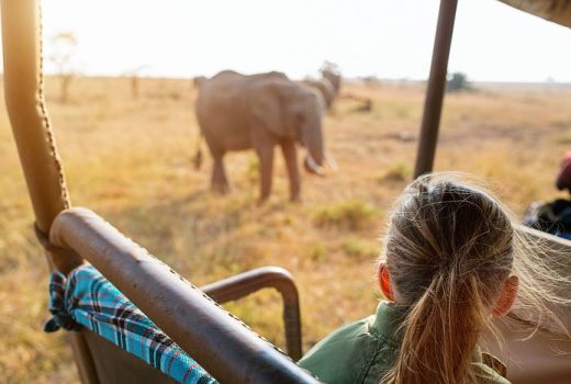 Easter Family Safaris & Short Breaks