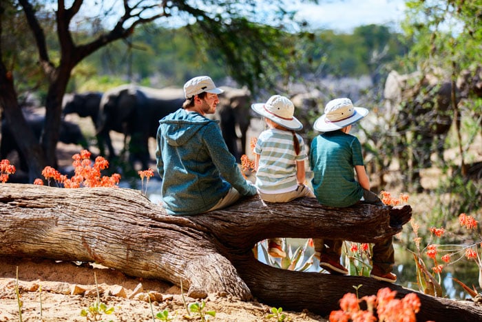 Family Safaris