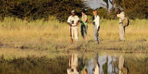 Botswana Walking Safaris