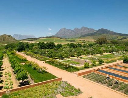 Top 10 Golf Courses in Cape Town & Garden Route in 2025