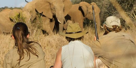 South Africa Walking Safaris