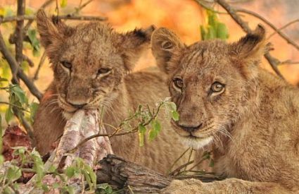 Namibia Fly-In with Skeleton Coast