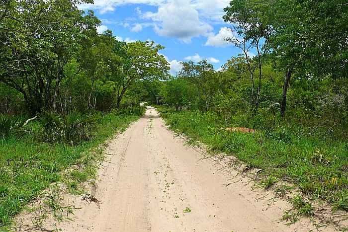 Adventurous Self drive - The road through the Mozambique Peace Park.