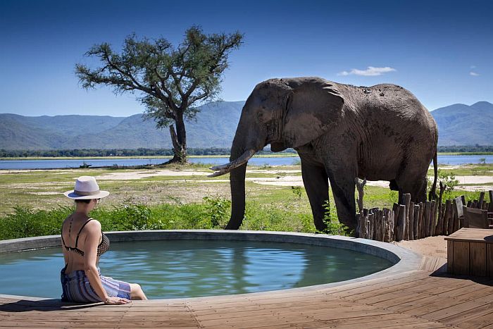 Solo travellers - Nyamatusi Camp, Mana Pools