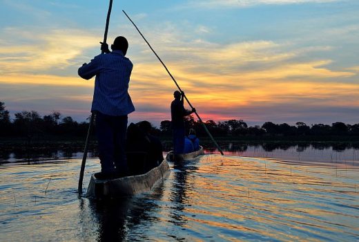 Safari Honeymoons