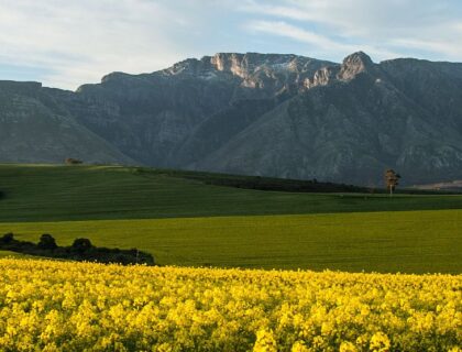 Route 62 & Swellendam - Langeberg mountains