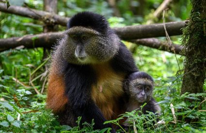 Namibia Fly-In with Skeleton Coast