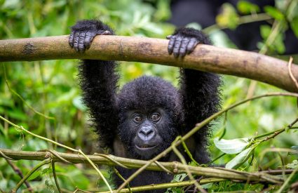 Namibia Fly-In with Skeleton Coast