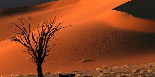 Sossusvlei & Namib Desert