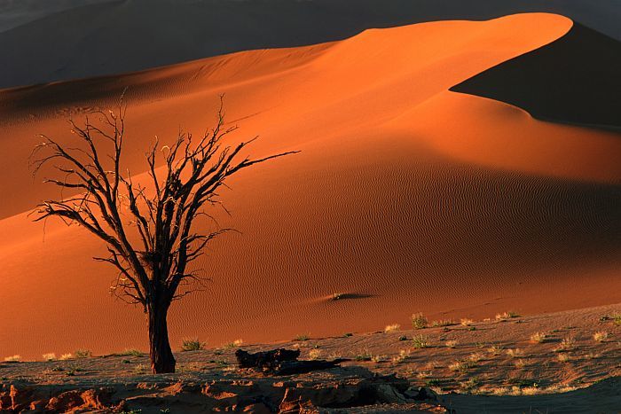 Sossusvlei & Namib Desert