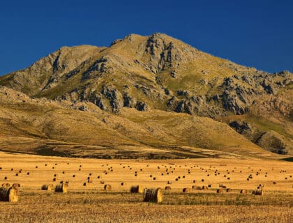 Hermanus & Route 62 - Swellendam hay bales