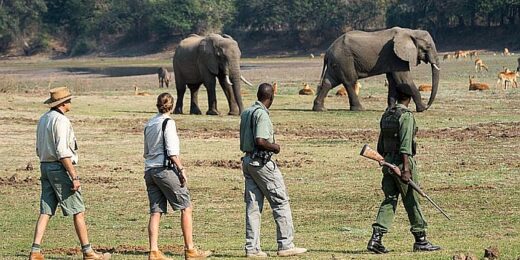 Zambia Walking Safaris