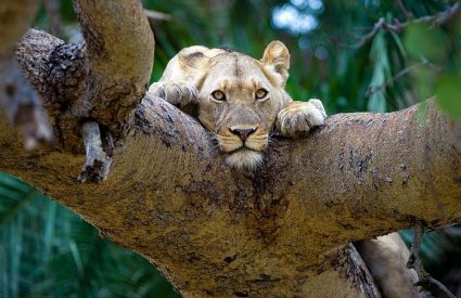 Namibia Fly-In with Skeleton Coast