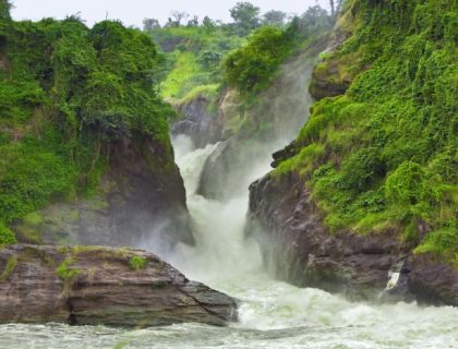 What does a Gorilla safari cost in Rwanda or Uganda?