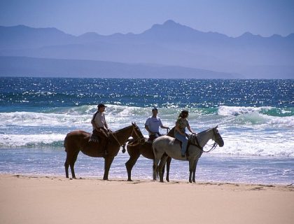 Garden Route  Attractions:  20 Things to Do with Children