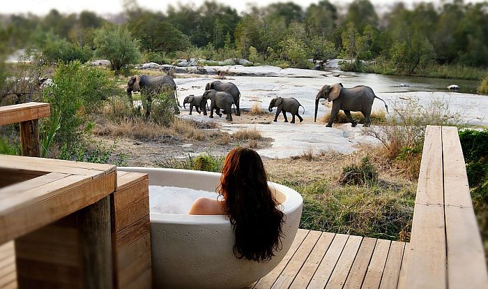 Honeymoon Destinations in Africa - Londolozi