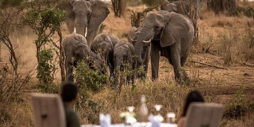 Safari and Beach Honeymoons