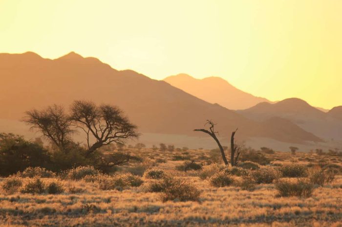 Cedarberg Travel | Desert Homestead