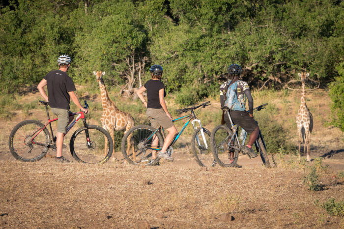 Cedarberg Travel | Mashatu Tented Camp