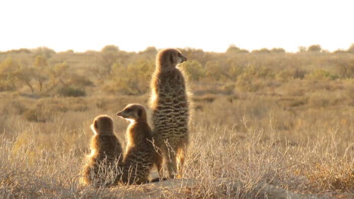 Cedarberg Travel | De Zeekoe Guest Farm