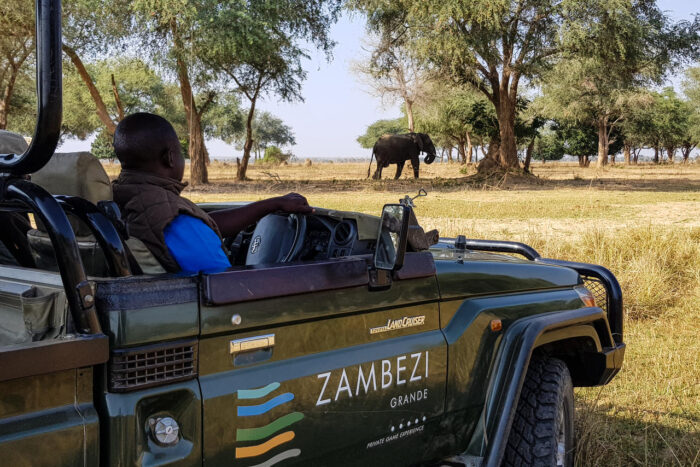 Cedarberg Travel | Zambezi Grande Game Lodge