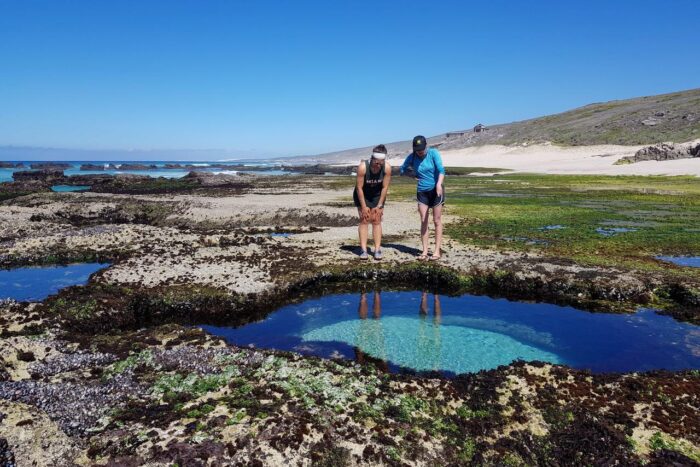 Cedarberg Travel | Lekkerwater Beach Lodge at De Hoop